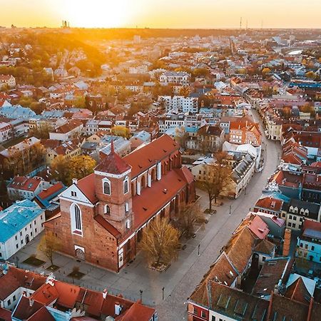 Old Kaunas Apartment エクステリア 写真