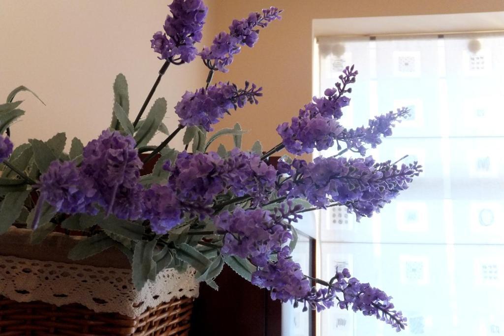 Old Kaunas Apartment エクステリア 写真